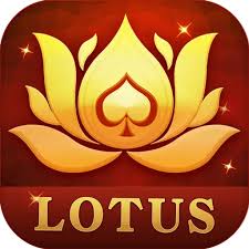 top rummy secret bonus code download